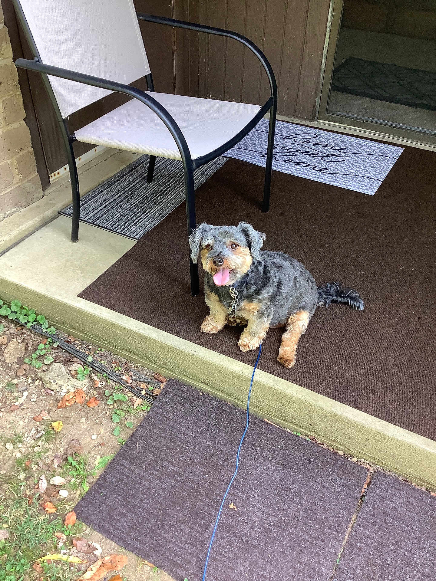 Monty