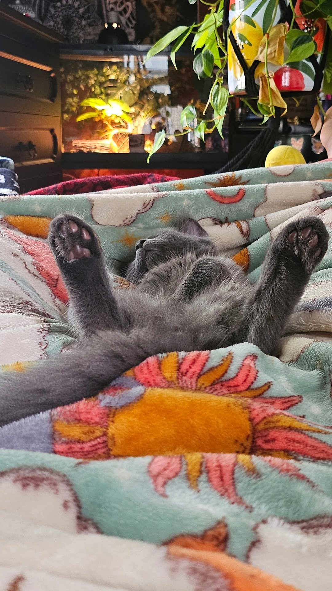 Bixie