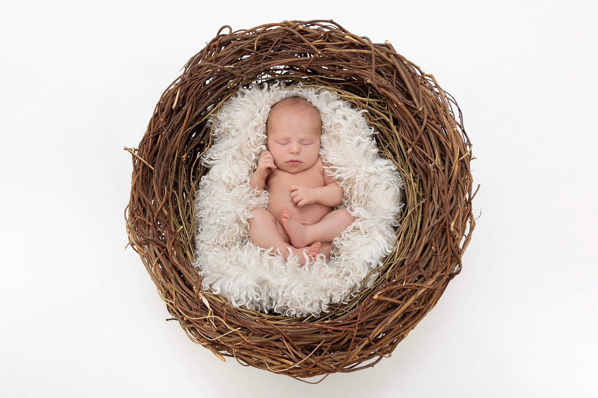 Winter joined the competition — help win amazing prizes! basket, bird_nest, child, circle, egg, event, fashion_accessory, fur, grass, happy, home_accessories, interior_design, natural_material, nest, person, storage_basket, twig, wicker, wood