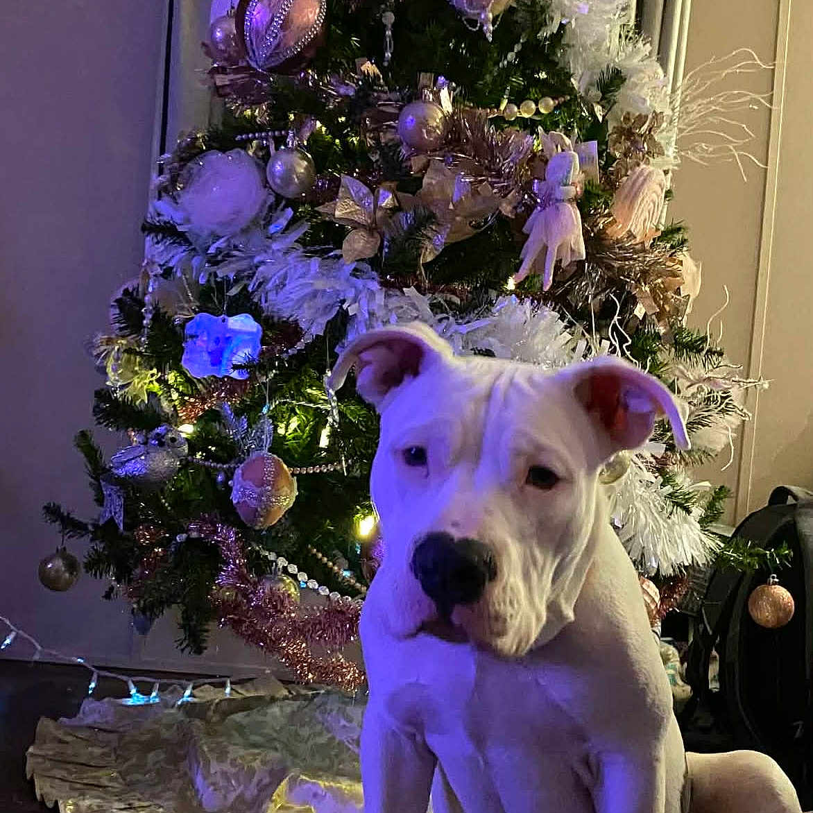 Kilo