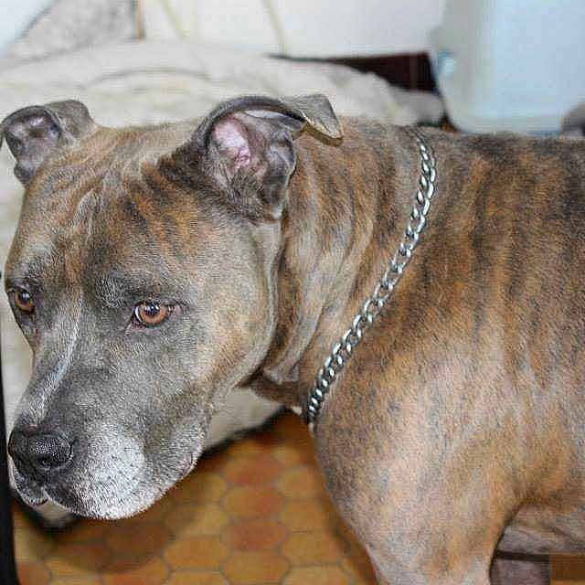 Tyson