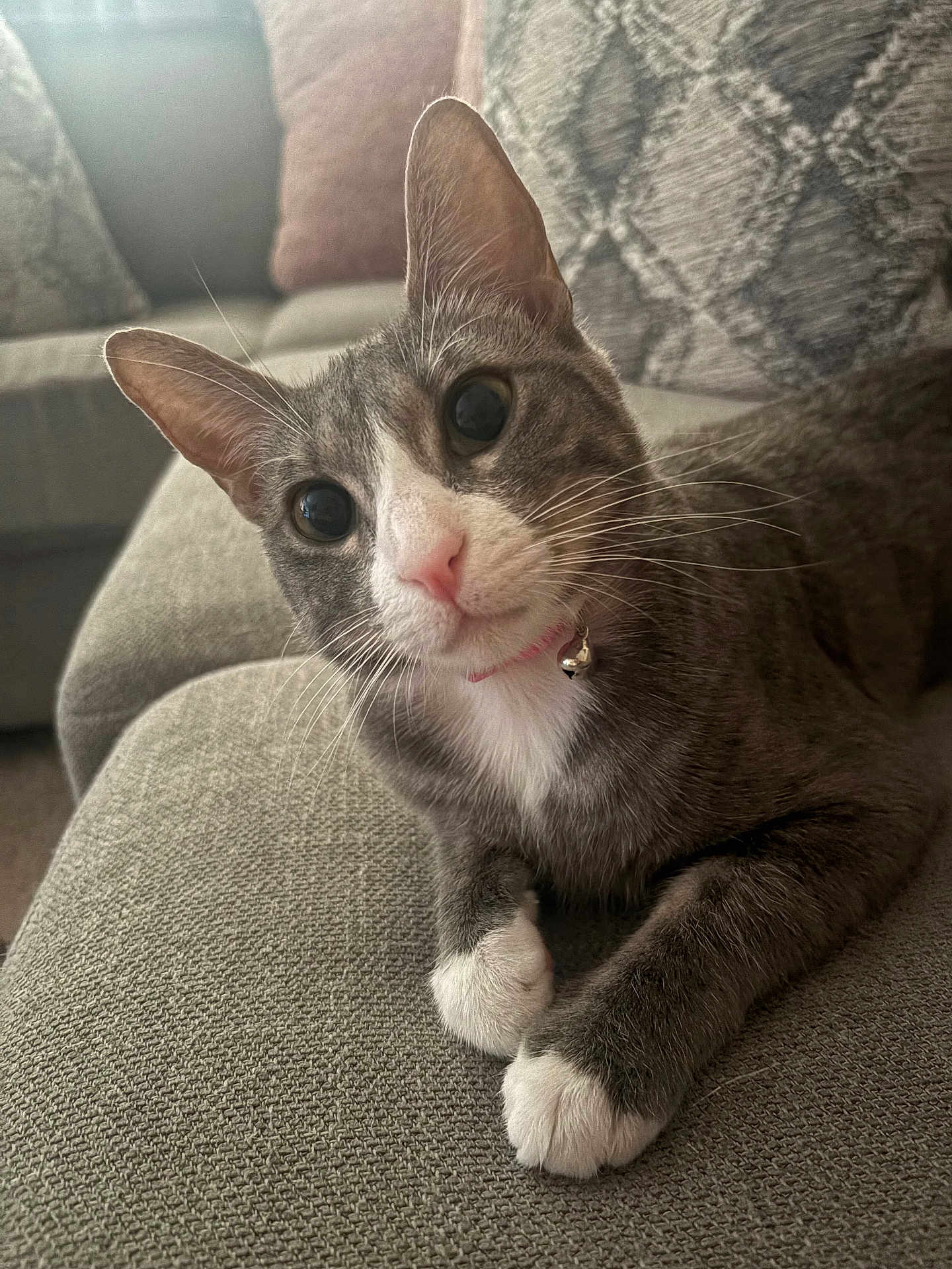 Stormi