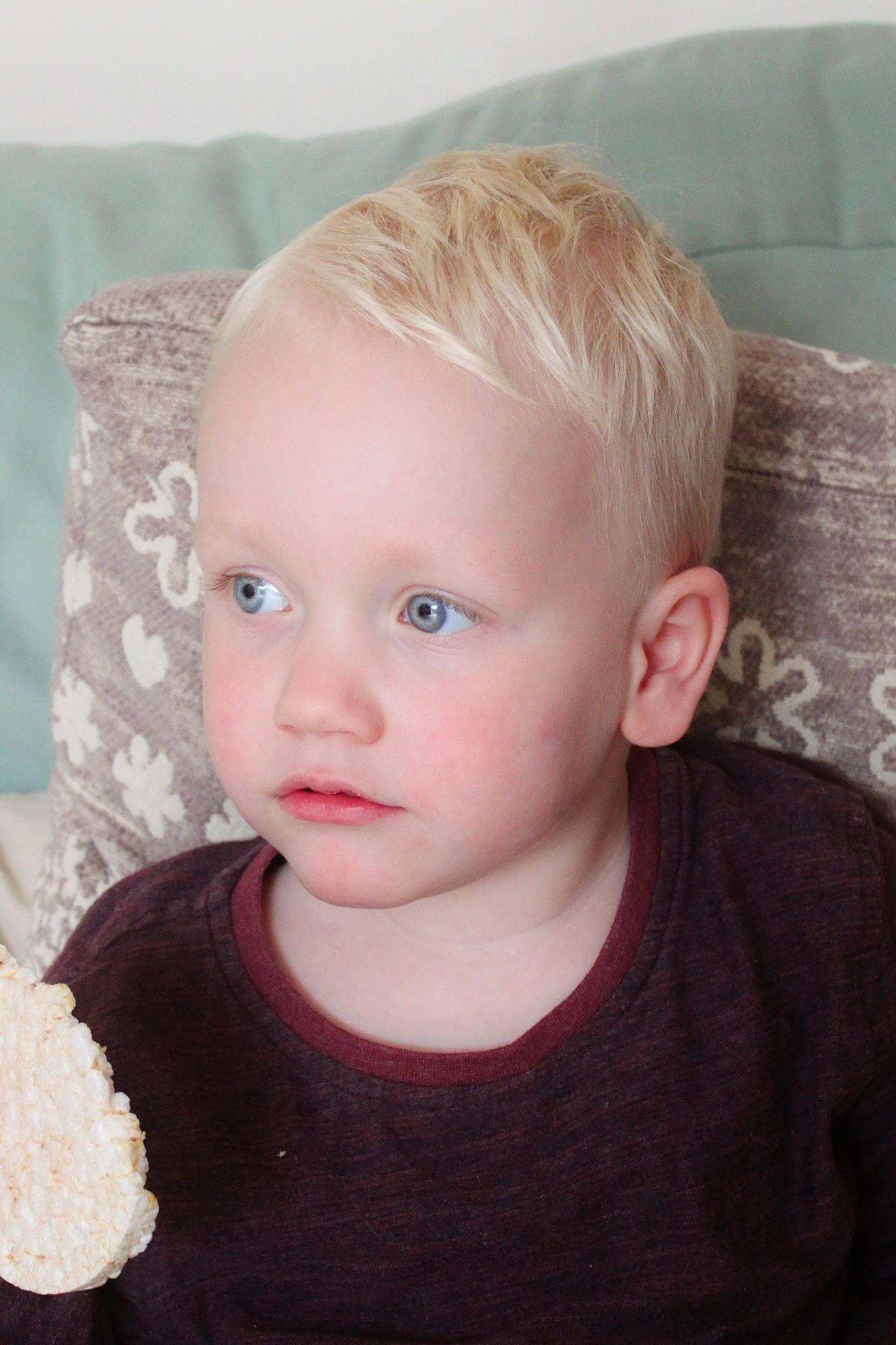 Jasper is registered to the contest to win money with this photo: baby, blond, brown_hair, cheek, child, chin, ear, eye, eyebrow, face, forehead, hair, hairstyle, head, iris, lip, neck, nose, person, skin