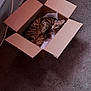 cat, cardboard_box, tissue_paper, carpet, indoor, animal, pet, feline, curled_up, resting, brown, spotted, striped, ears, whiskers, floor, wall, cable, curious, eyes