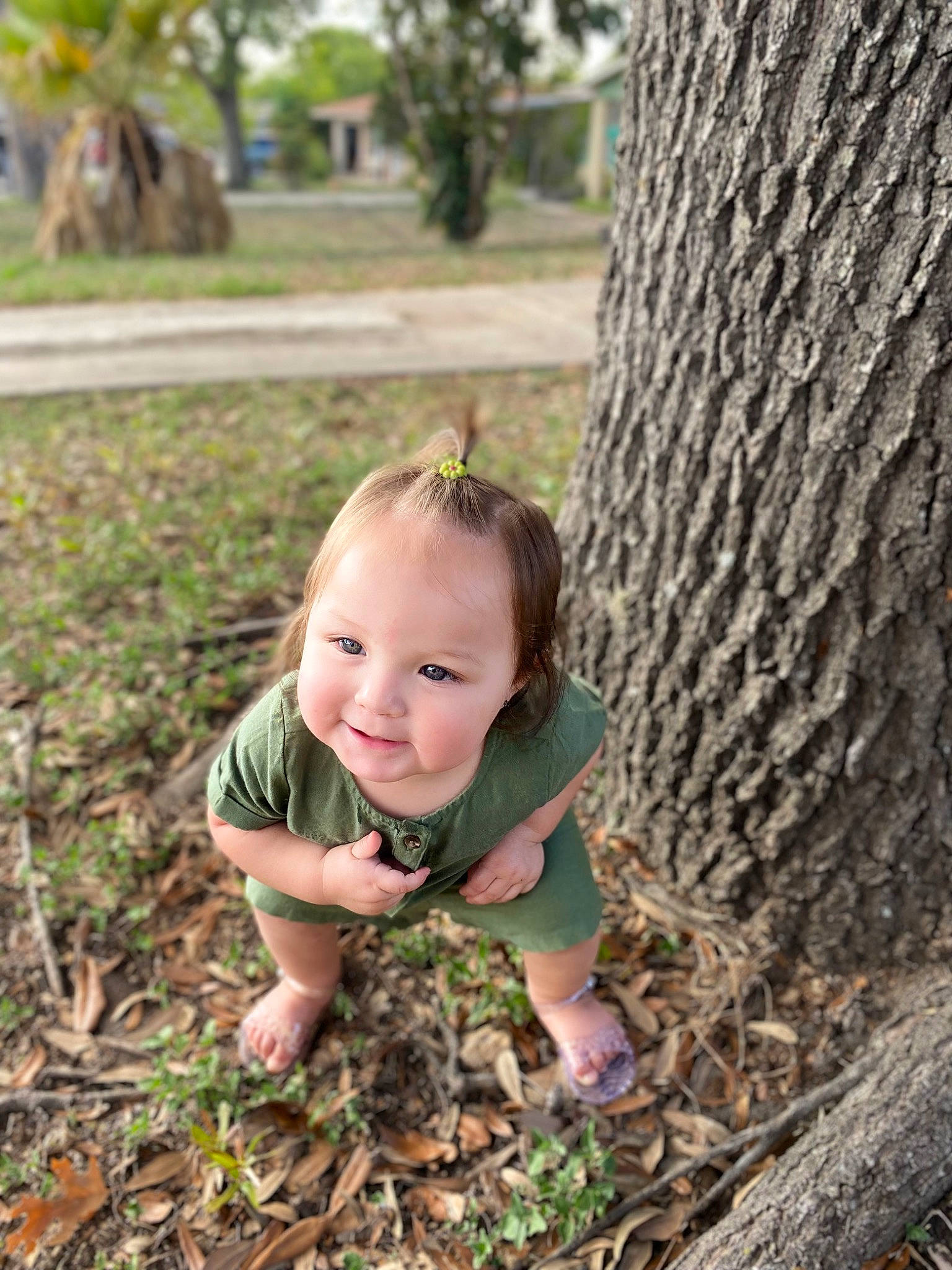 Maliah is registered to the contest to win money with this photo: adaptation, baby, botany, brown_hair, eye, fawn, forest, grass, happy, joy, leaf, leisure, people_in_nature, person, plant, smile, soil, toddler, tree, trunk