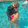 adult, background, black_dog, child, dog, fun, goggles, hugging, legs, outdoor, people, pink_swimsuit, playful, poolside, reflection, summer, sunlight, swimming_pool, water, water_splash