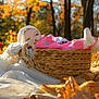baby, basket, blanket, pumpkin, fall, autumn, outdoor, nature, leaves, sunlight, trees, cozy, child, pink_clothing, white_hat, woven, soft_texture, relaxing, seasonal, scenic