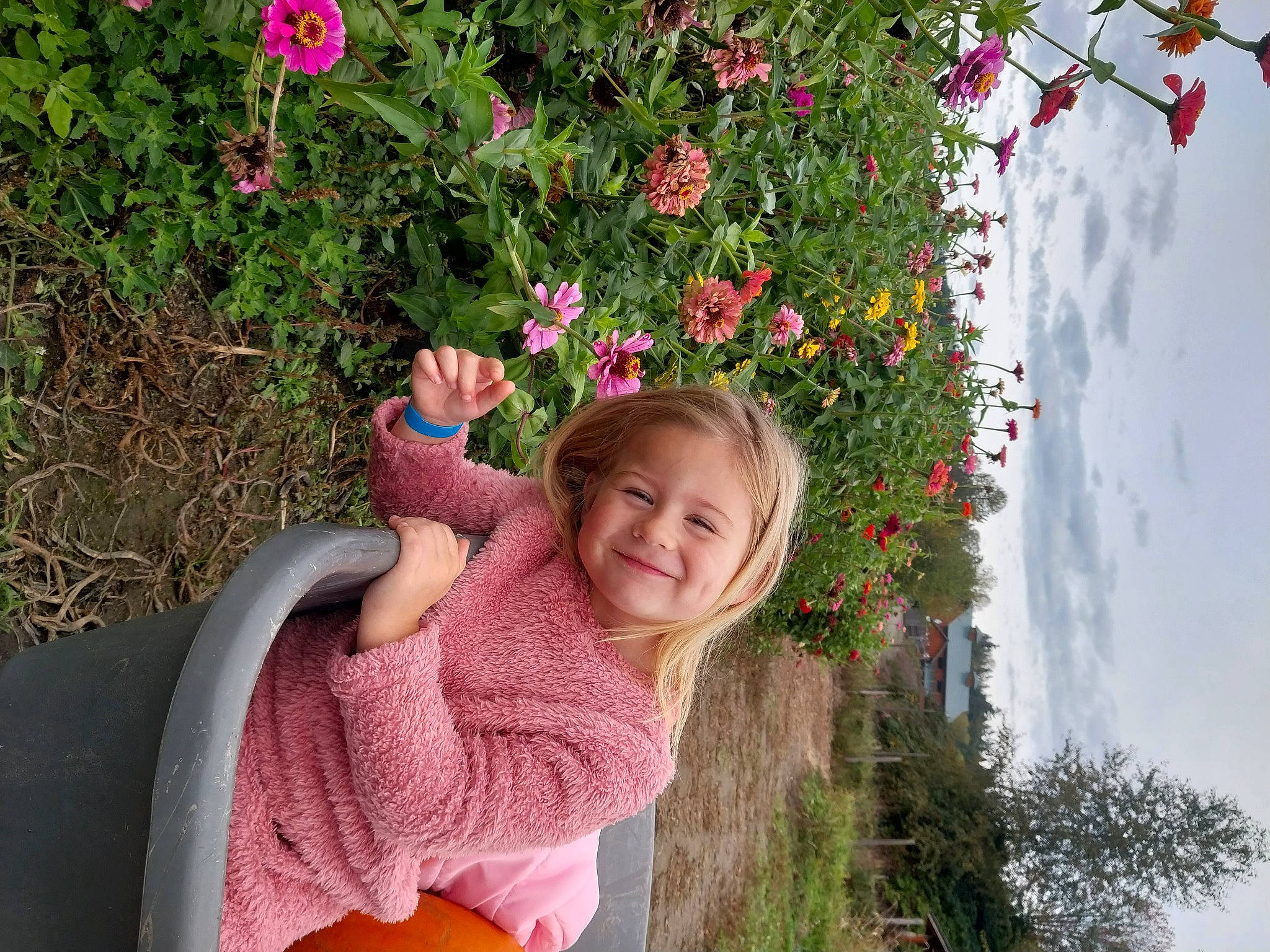 Avah-rose is registered to the contest to win money with this photo: botany, flower, fun, grass, happy, joy, leaf, leisure, magenta, people_in_nature, person, petal, photograph, pink, plant, red, sky, smile, summer, toddler