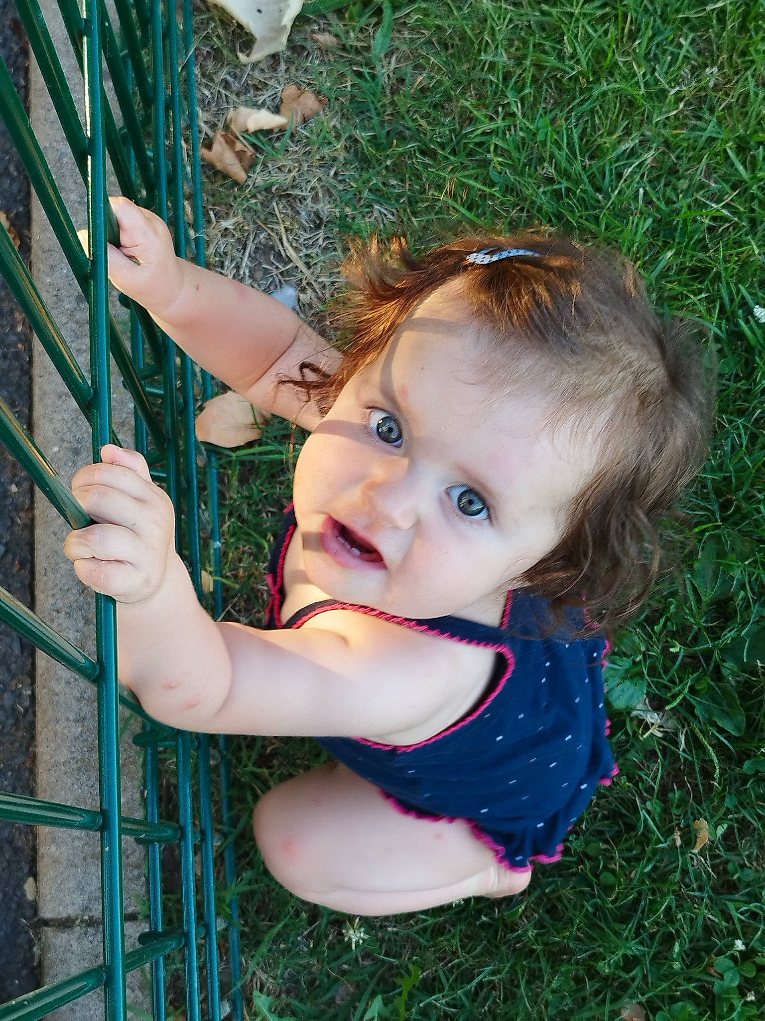 Zélie participe au concours pour gagner de l'argent avec cette photo : baby_toddler_clothing, chin, facial_expression, fence, finger, fun, grass, green, hairstyle, happy, iris, leisure, lip, nose, people_in_nature, person, plant, skin, thumb, toddler