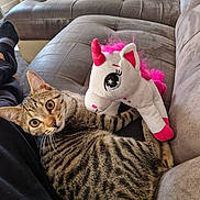 Cookie participe au concours pour gagner de l'argent avec cette photo : tabby_cat, cat, stuffed_toy, unicorn, couch, furniture, indoor, pet, animal, striped, plush, cozy, relaxing, wide_eyes, fur, whiskers, pink, white, home, companion