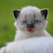 Holmaert a rejoint le concours — aidez-le/la à gagner de superbes lots !