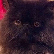 Igor participe au concours pour gagner de l'argent avec cette photo :