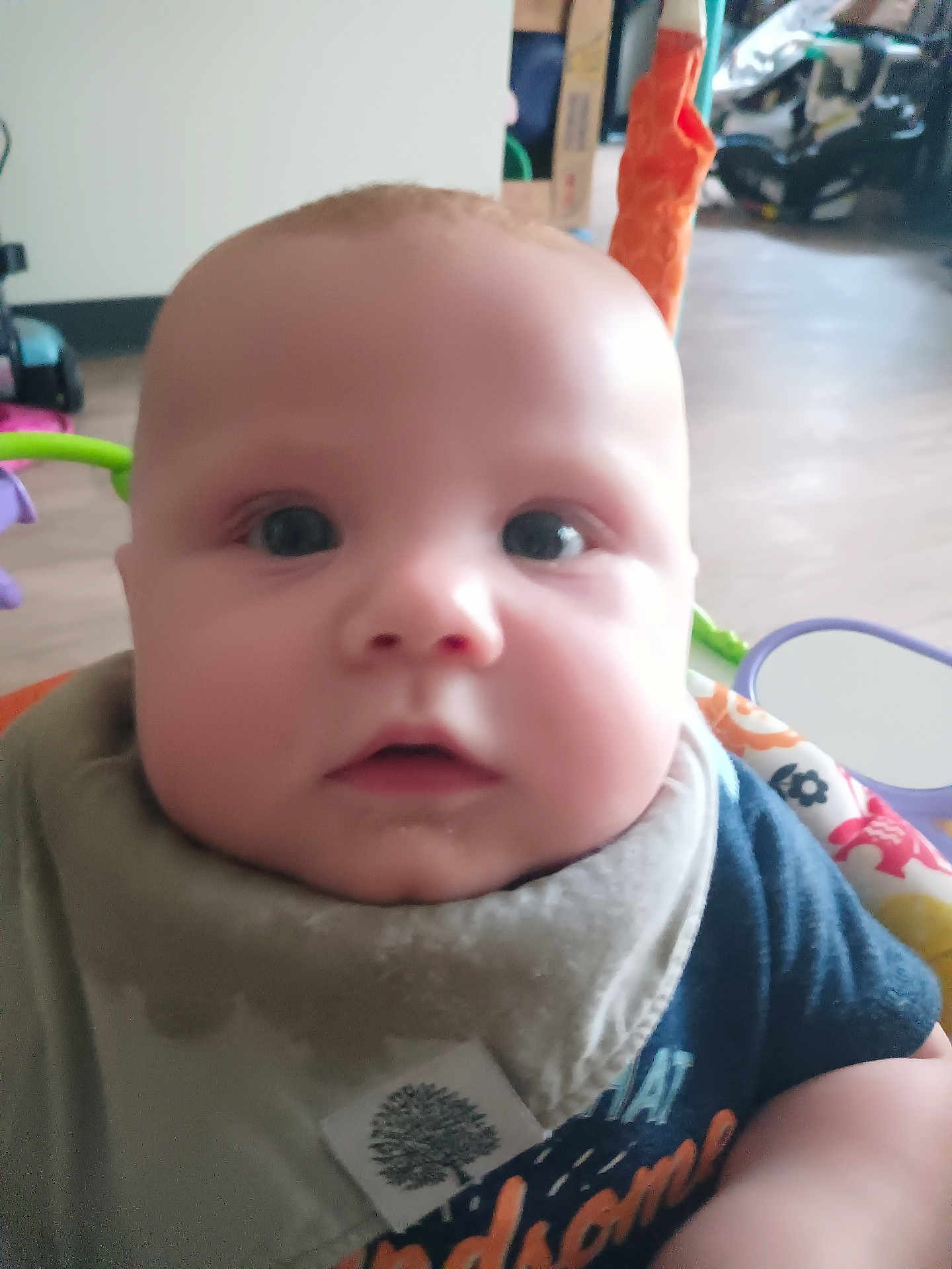Lochlann joined the competition — help win amazing prizes! baby, infant, close_up, face, bib, clothing, toy, baby_seat, indoor, child, person, cute, chubby_cheeks, expression, curious, young_child, soft_light, blurred_background, home, casual