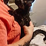 animal, bed, bedroom, casual, cat, comfort, feline, gentle, hand, holding, human, indoor, person, pet, quiet, resting, shirt, tattoo, tortoiseshell, window