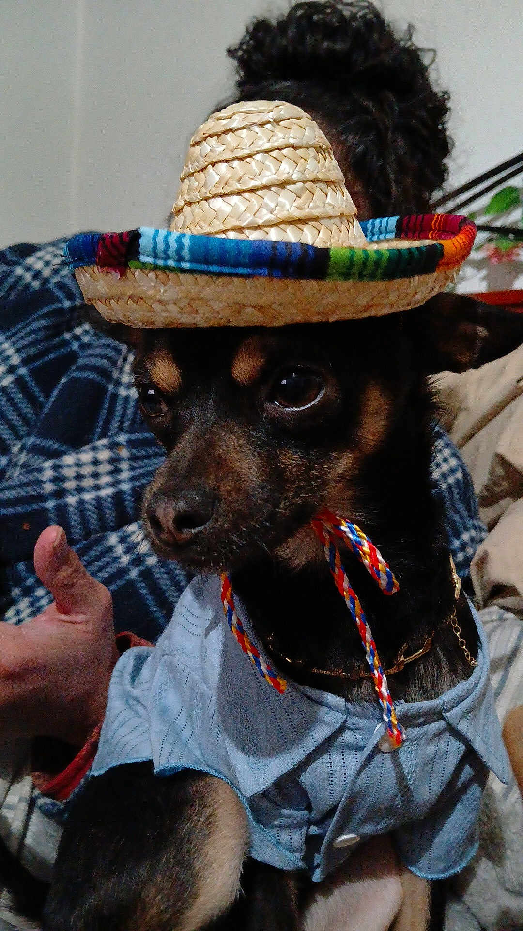 Enzo