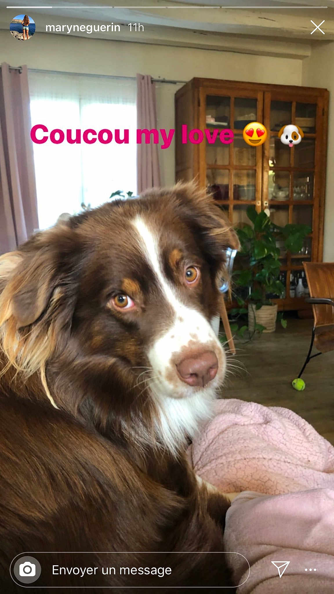 Newton