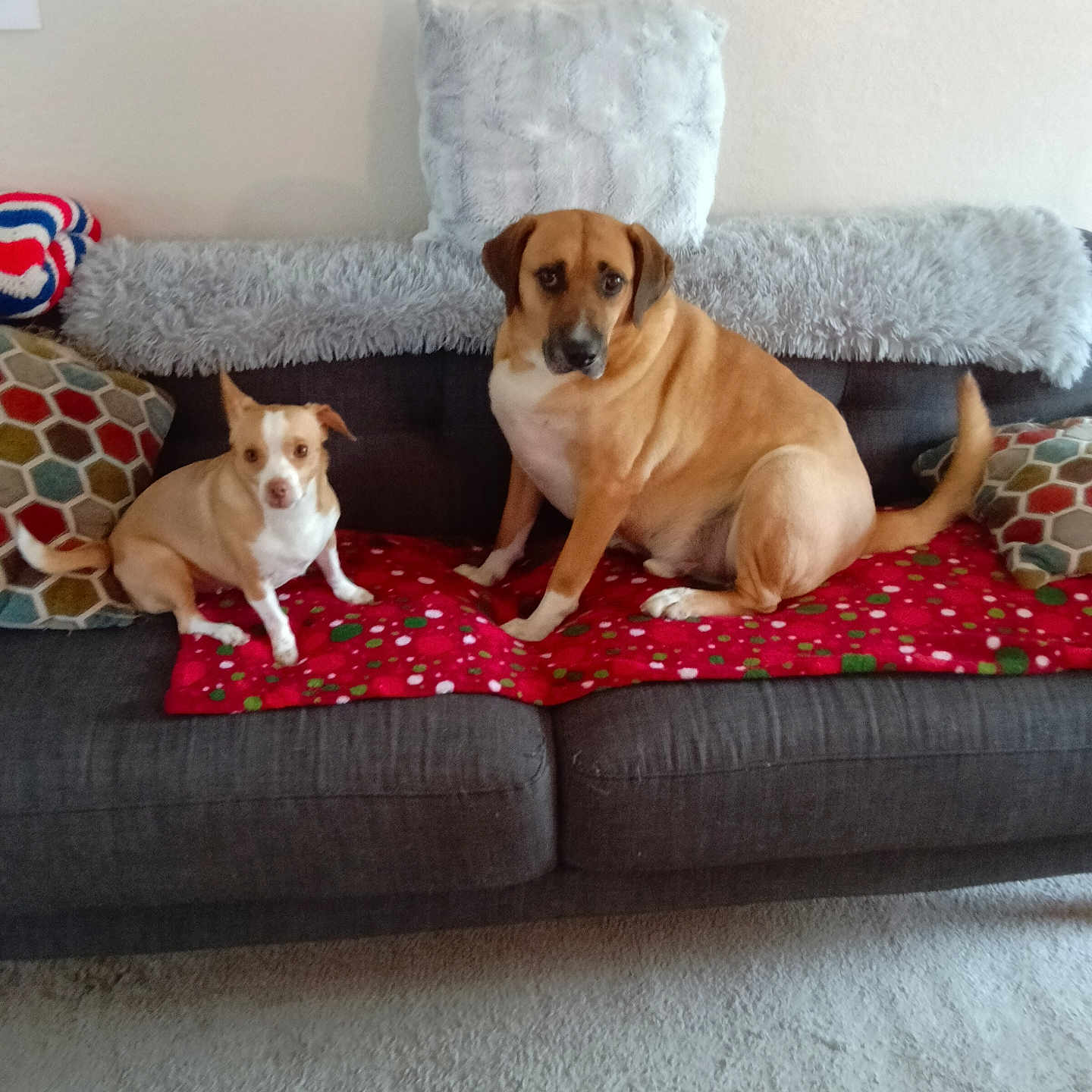 Kratos And Maleah