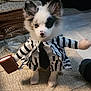 puppy, dog, costume, striped_suit, tie, briefcase, carpet, blanket, glass_bowl, indoor, pet, cute, small, white_fur, black_fur, portrait, animal, funny, toy_arm, standing