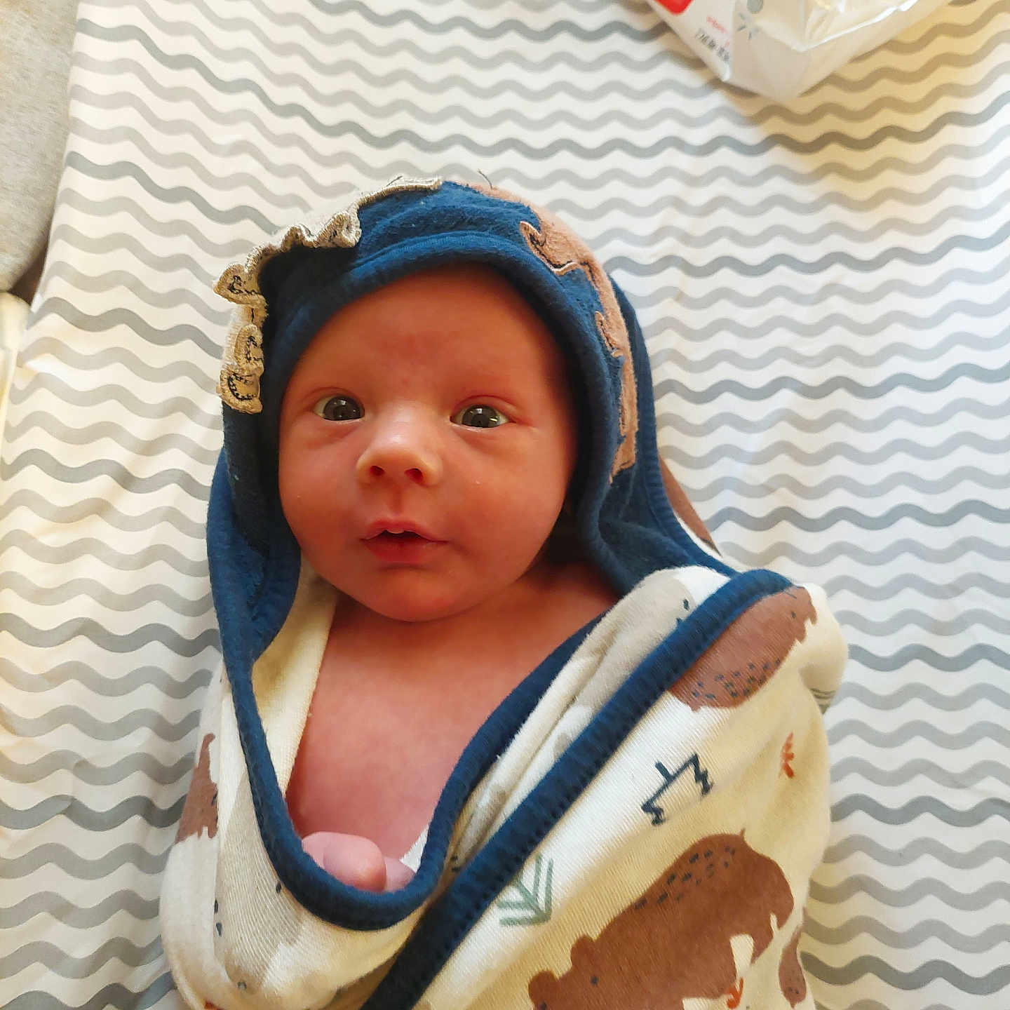 Everett is registered to the contest to win money with this photo: baby, bear, bed, blanket, child, cozy, cute, expression, eyes, fabric, face, hood, infant, lying, newborn, pattern, portrait, sheet, soft, wrapped
