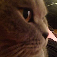 Decibelle participe au concours pour gagner de l'argent avec cette photo :