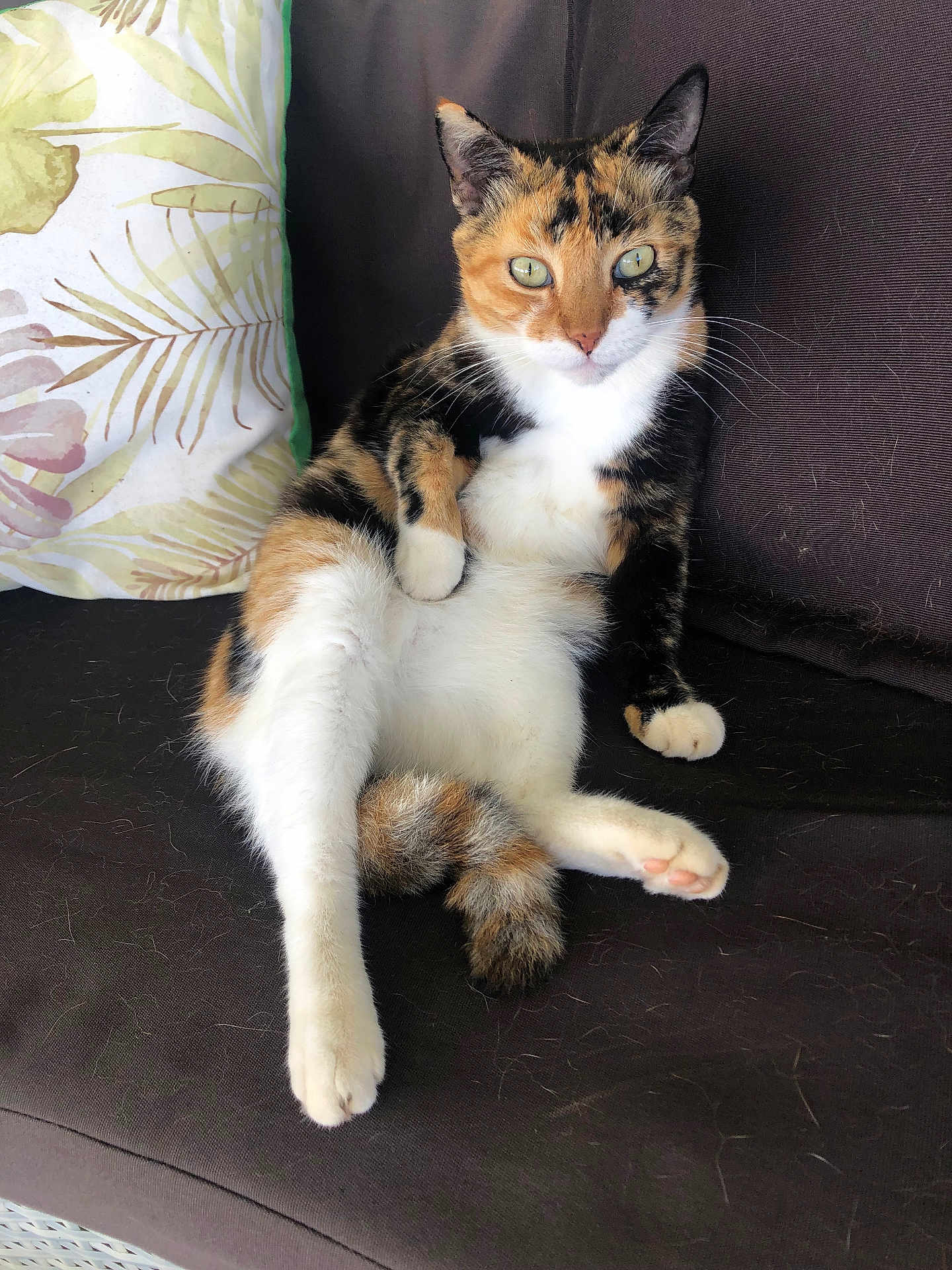 Zoe