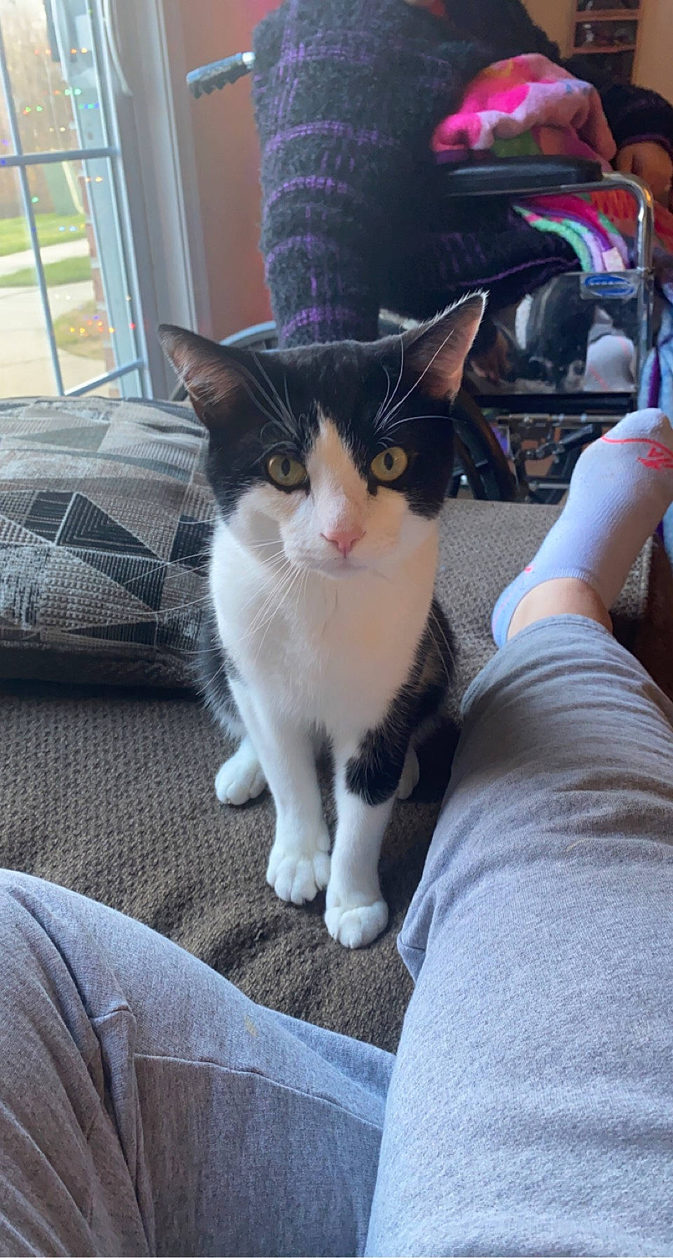 Pepper