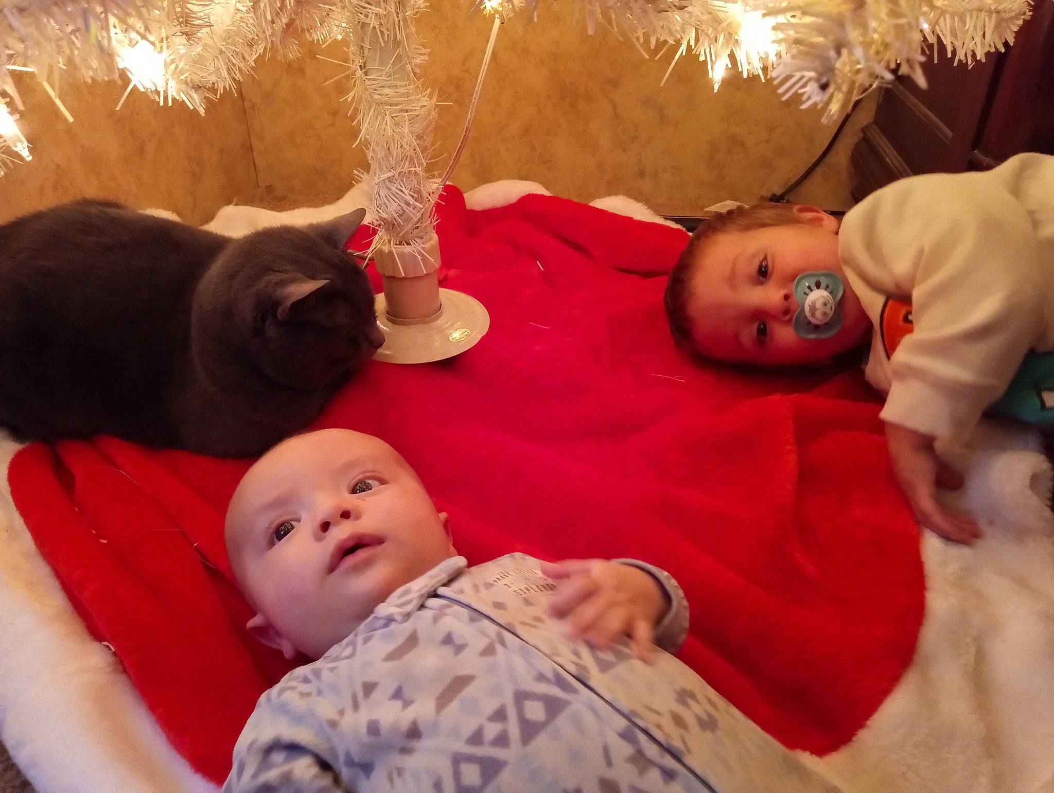 Zeke is registered to the contest to win money with this photo: baby, baby_toddler_clothing, cheek, child, comfort, event, eye, face, facial_expression, fun, happy, hat, head, holiday, mammal, people, person, room, skin, toddler