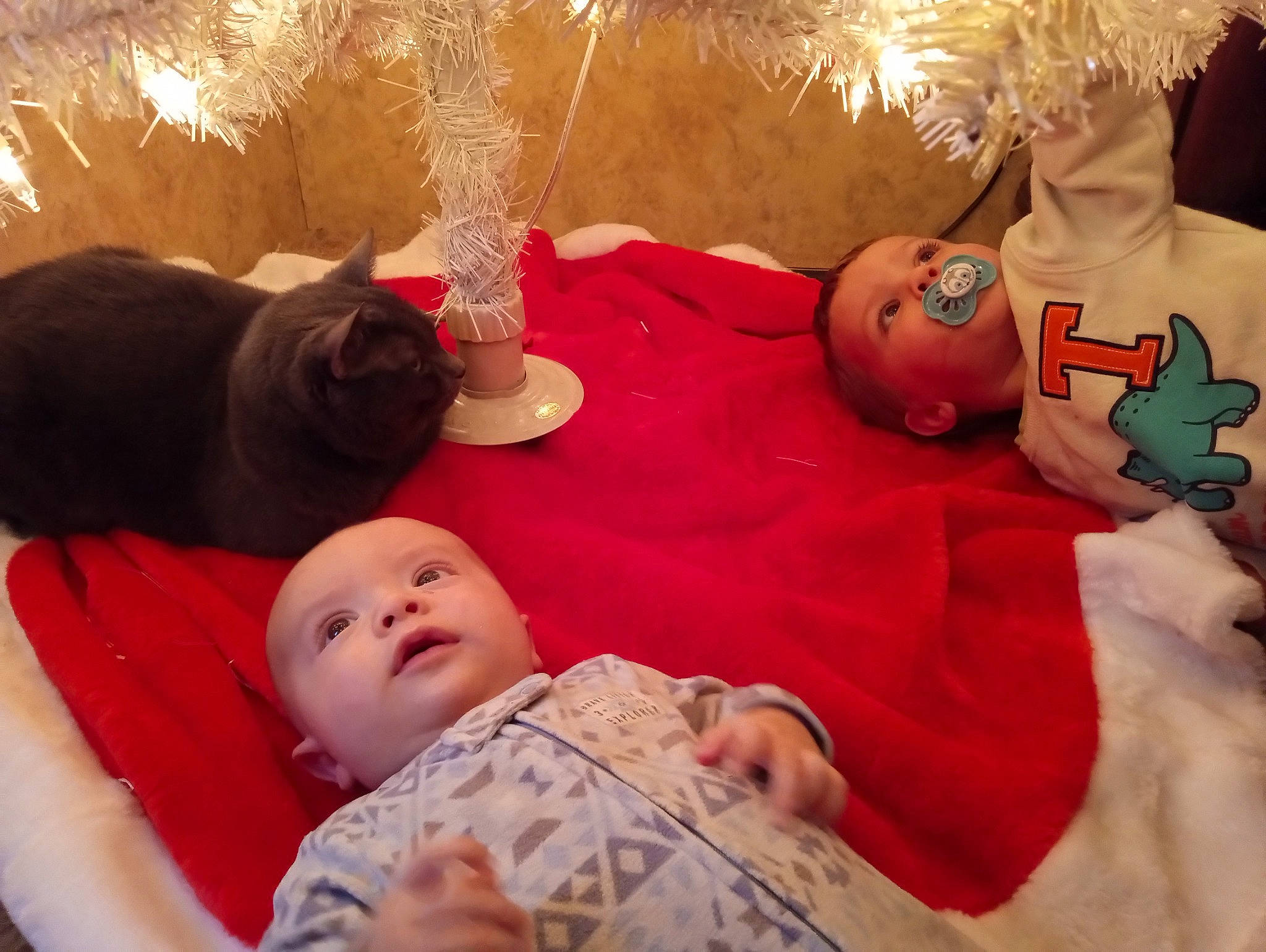 Lukas joined the competition — help win amazing prizes! baby, baby_toddler_clothing, bed, bed_sheet, bedding, bedtime, cat, child, comfort, event, facial_expression, finger, happy, linens, person, room, skin, sleep, textile, toddler