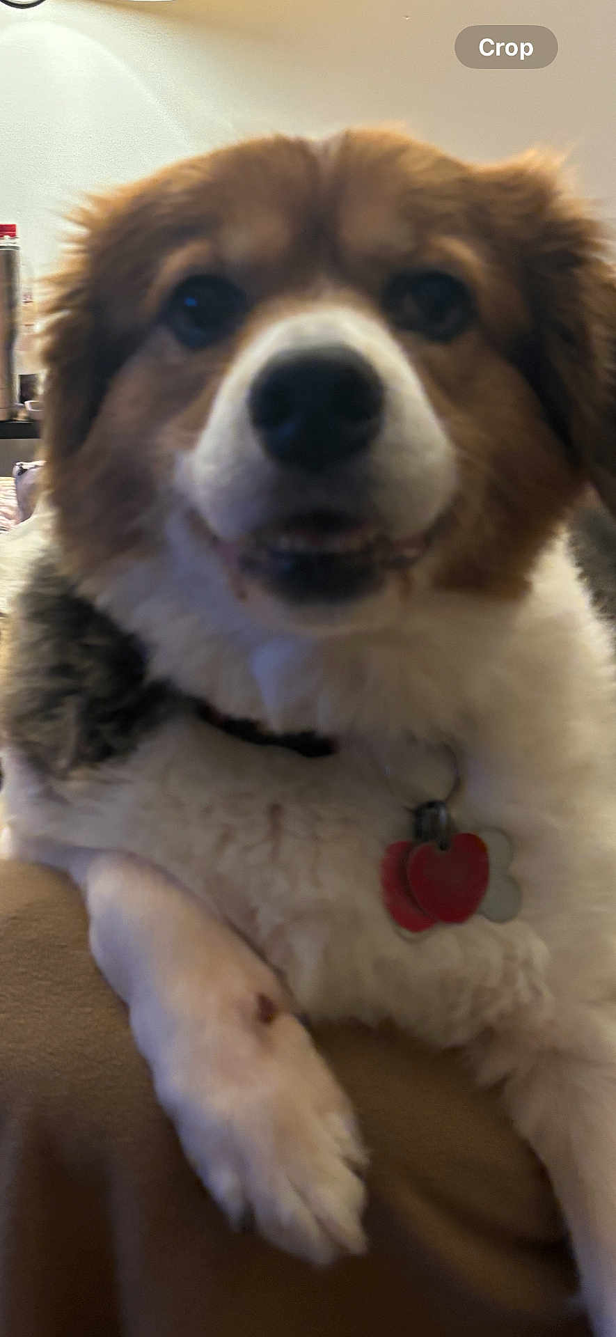 Millie