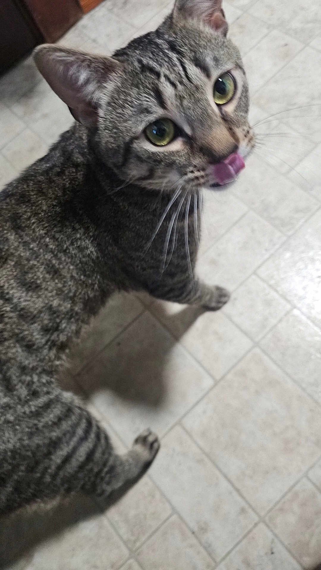 Snacks