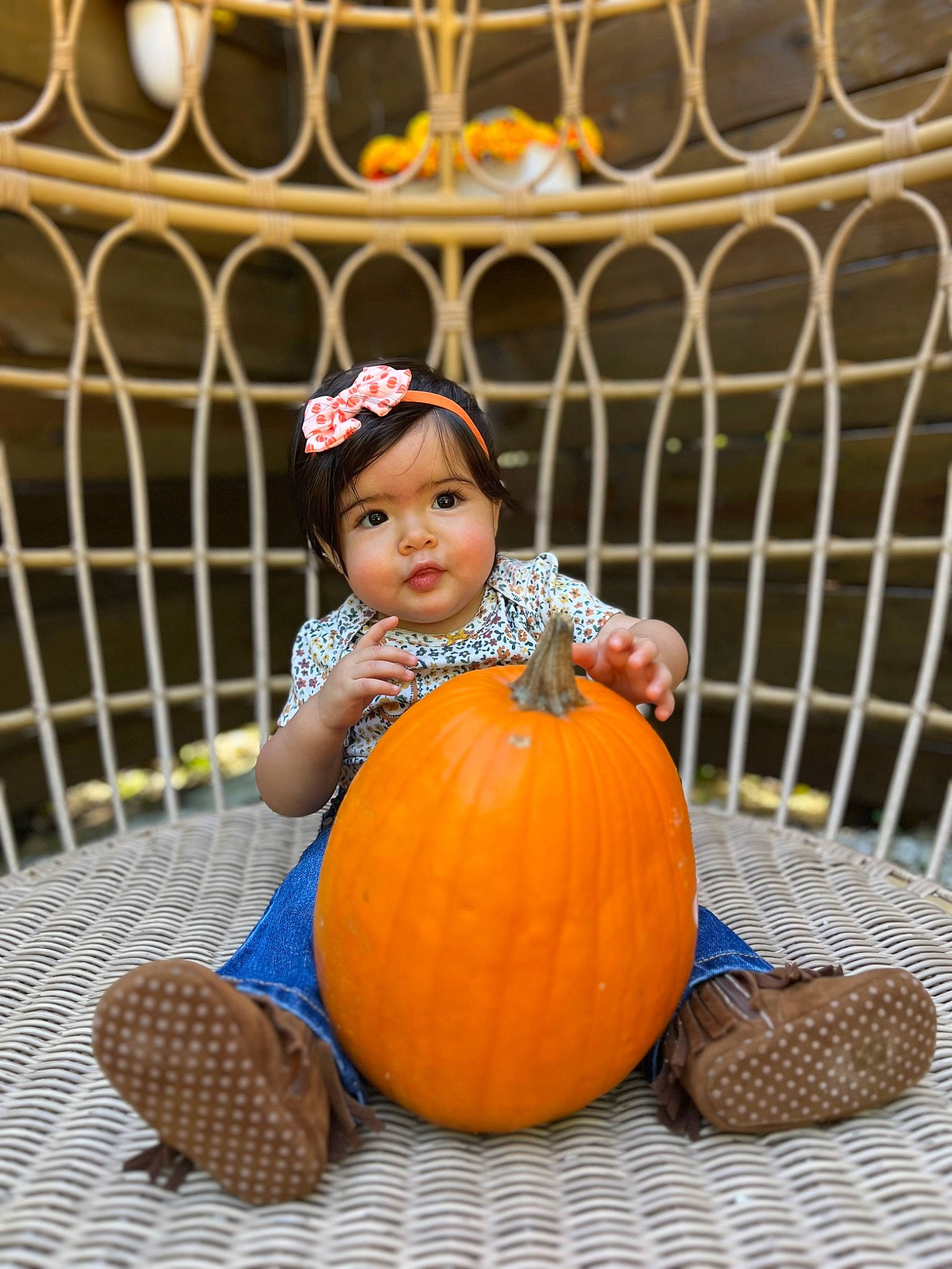 Natasha is registered to the contest to win money with this photo: baby_toddler_clothing, calabaza, child, cucurbita, fence, flooring, fruit, gourd, grass, happy, hat, headwear, natural_foods, orange, person, plant, pumpkin, squash, toddler, vegetable