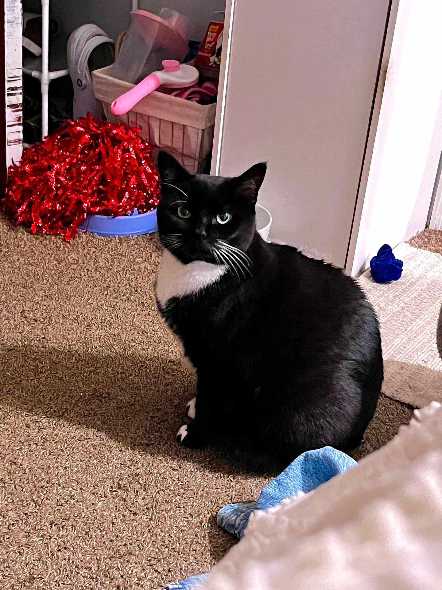 Rosie