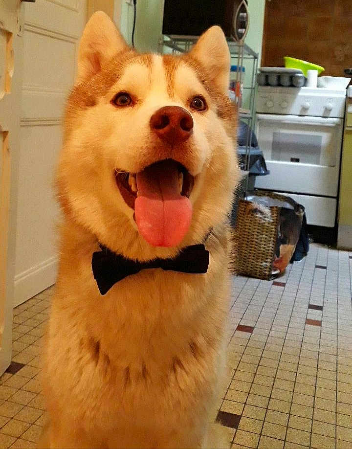Jax