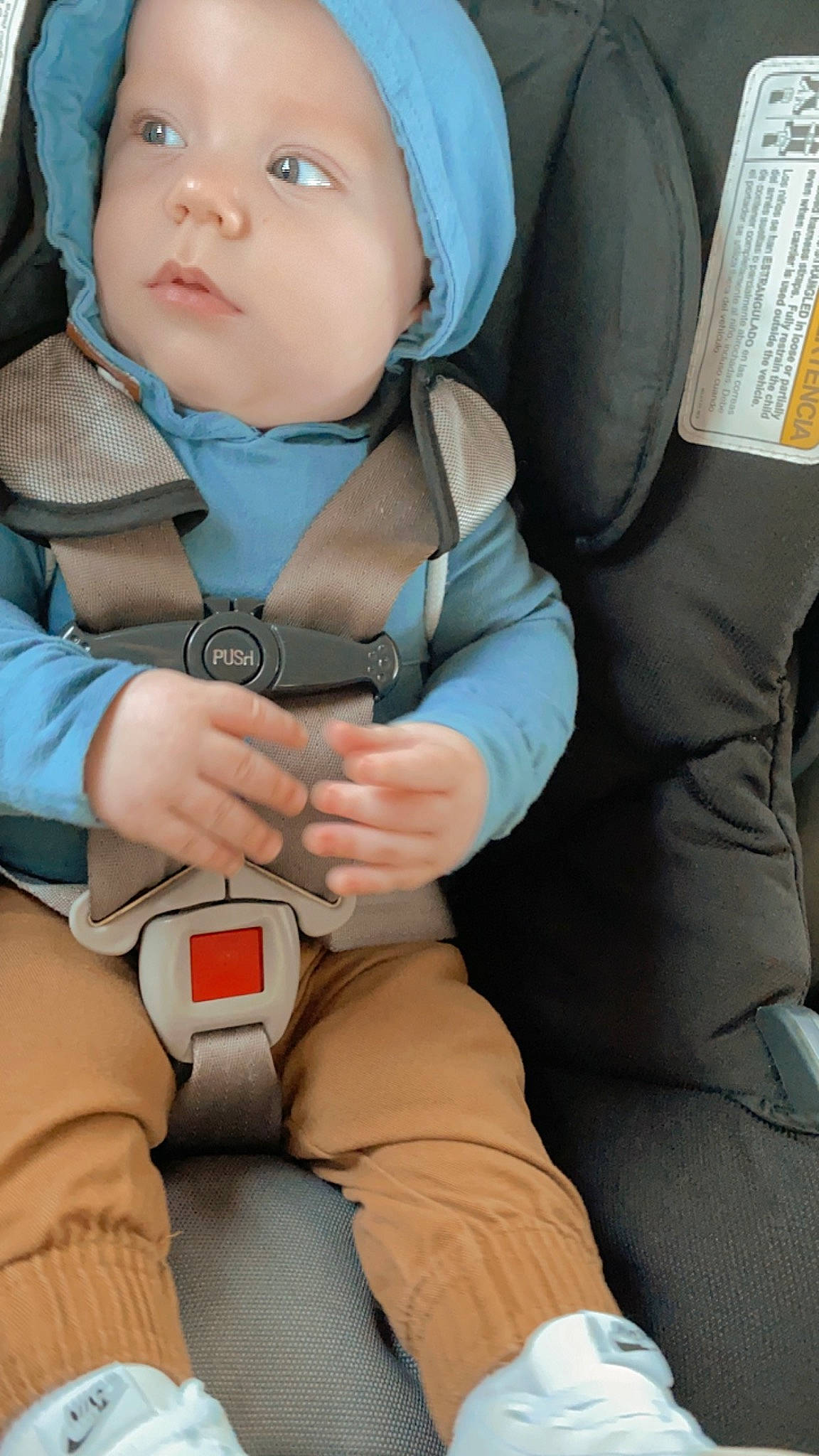 Jax is registered to the contest to win money with this photo: auto_part, baby, baby_carriage, baby_in_car_seat, baby_products, baby_safety, baby_toddler_clothing, car_seat, cheek, comfort, finger, gesture, headwear, knee, person, seat_belt, sitting, skin, thigh, thumb