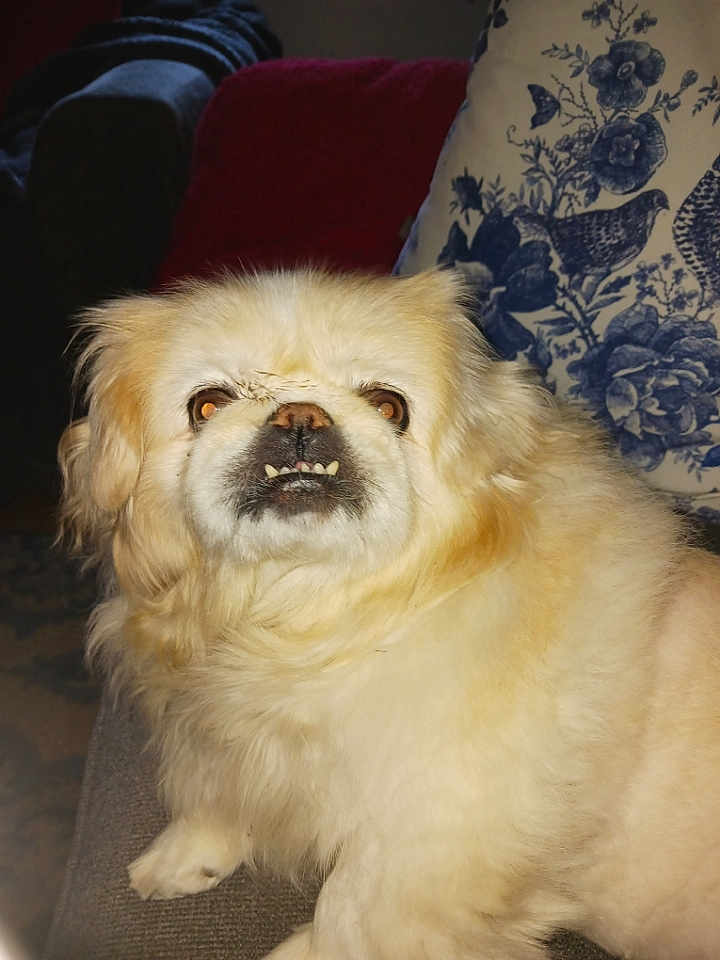 Buffy