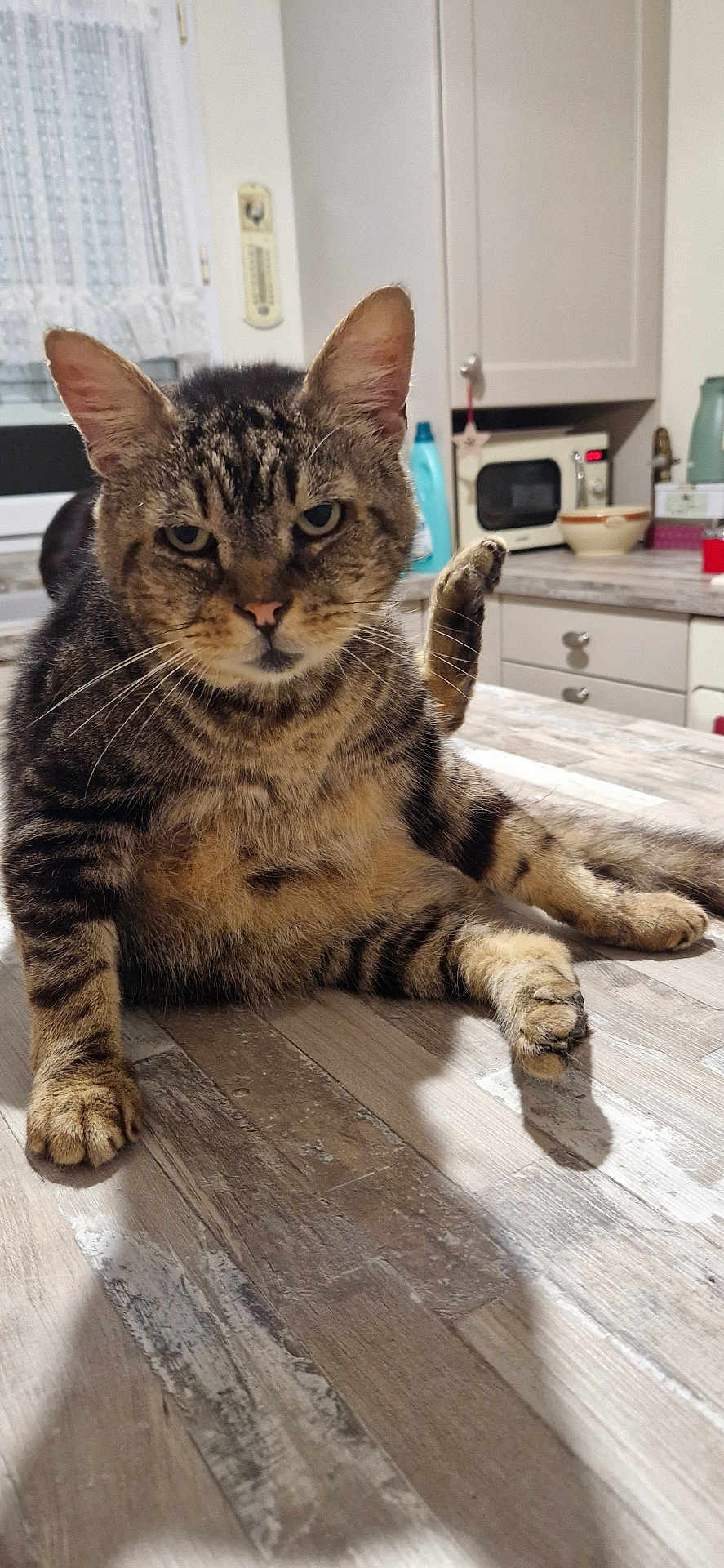Hugo