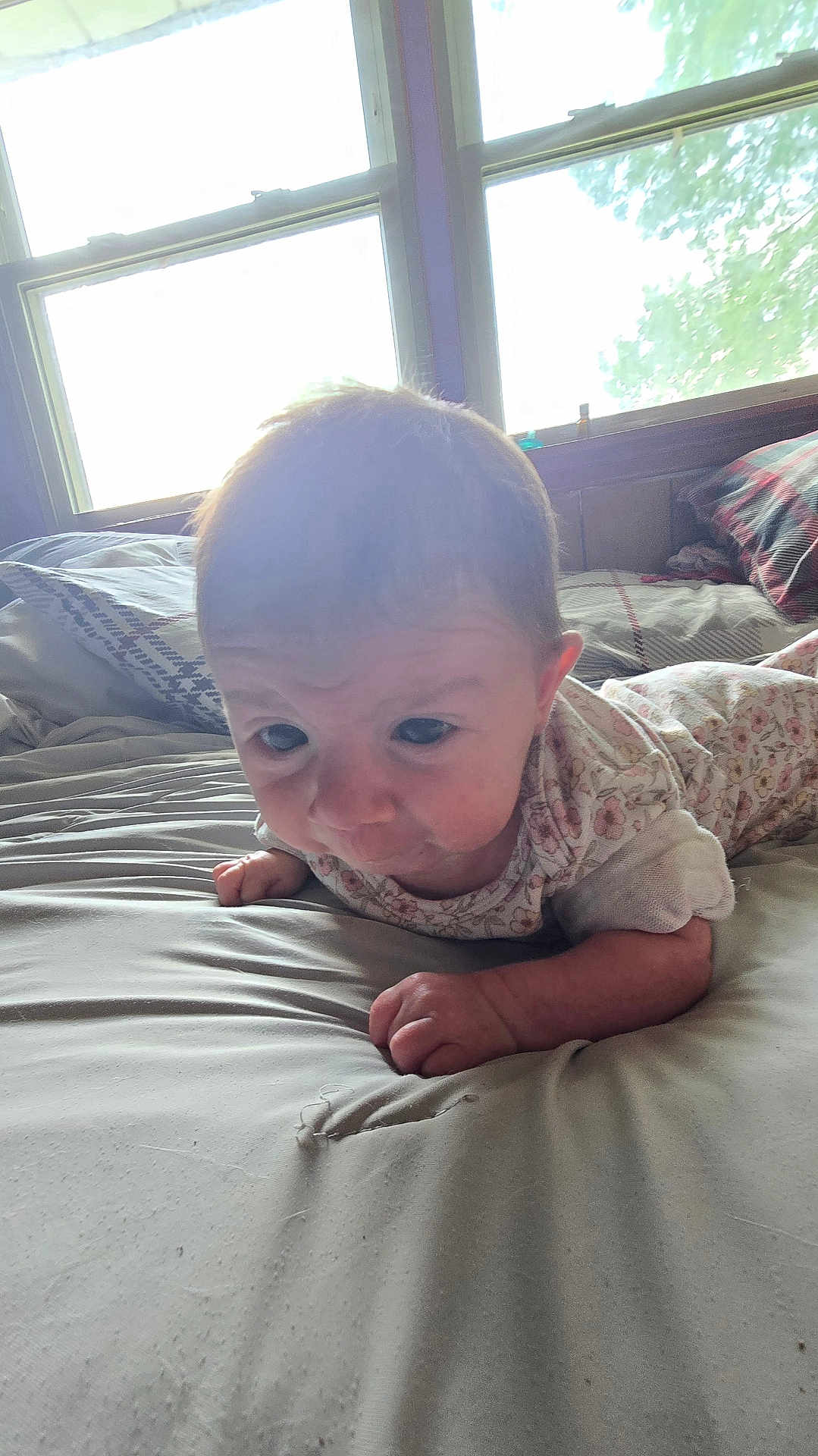 Lila