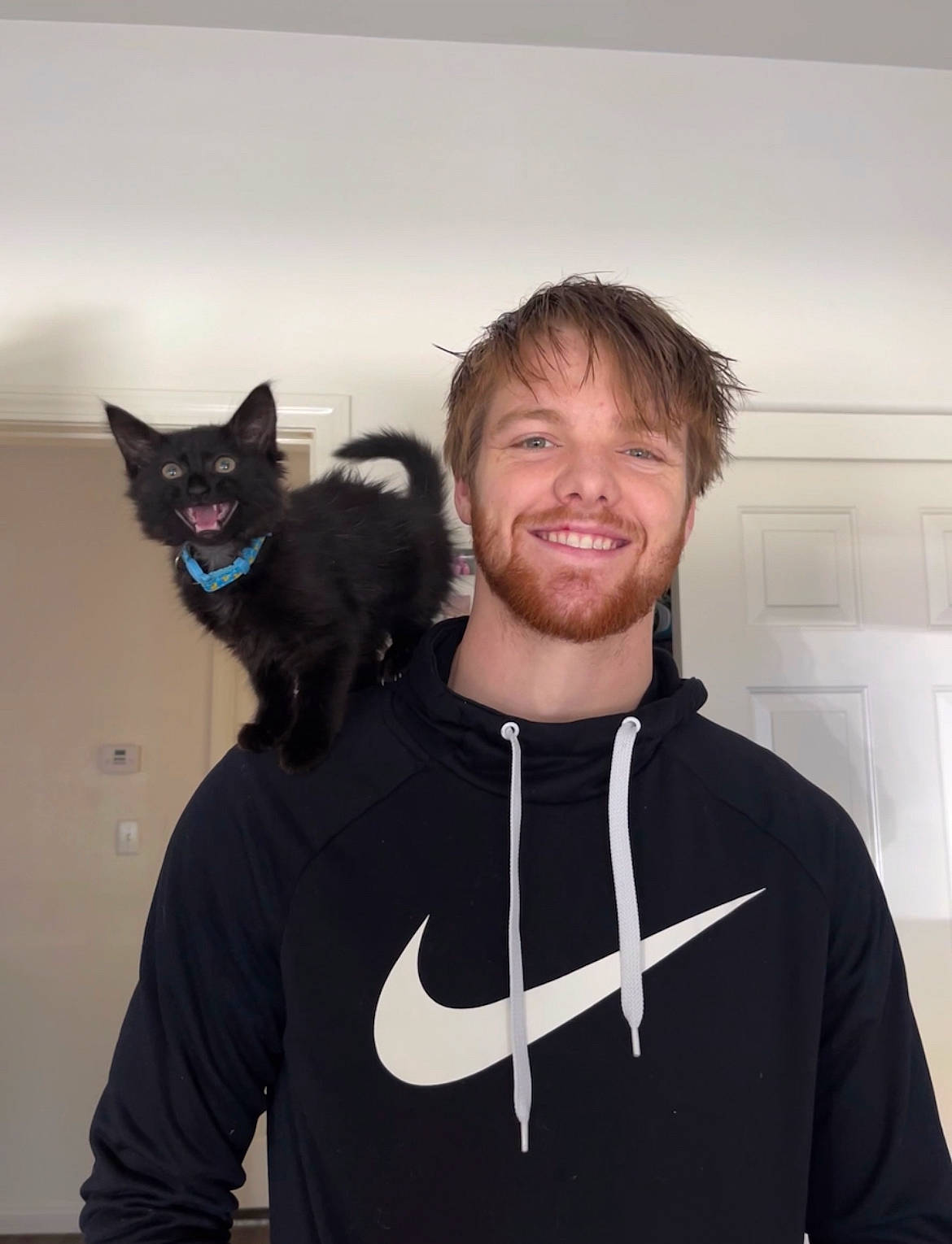 Bloo is registered to the contest to win money with this photo: beard, carnivore, cat, eyewear, facial_hair, felidae, formal_wear, fun, fur, gesture, happy, jaw, moustache, outerwear, shoulder, sleeve, small_to_medium_sized_cats, smile, t_shirt, whiskers