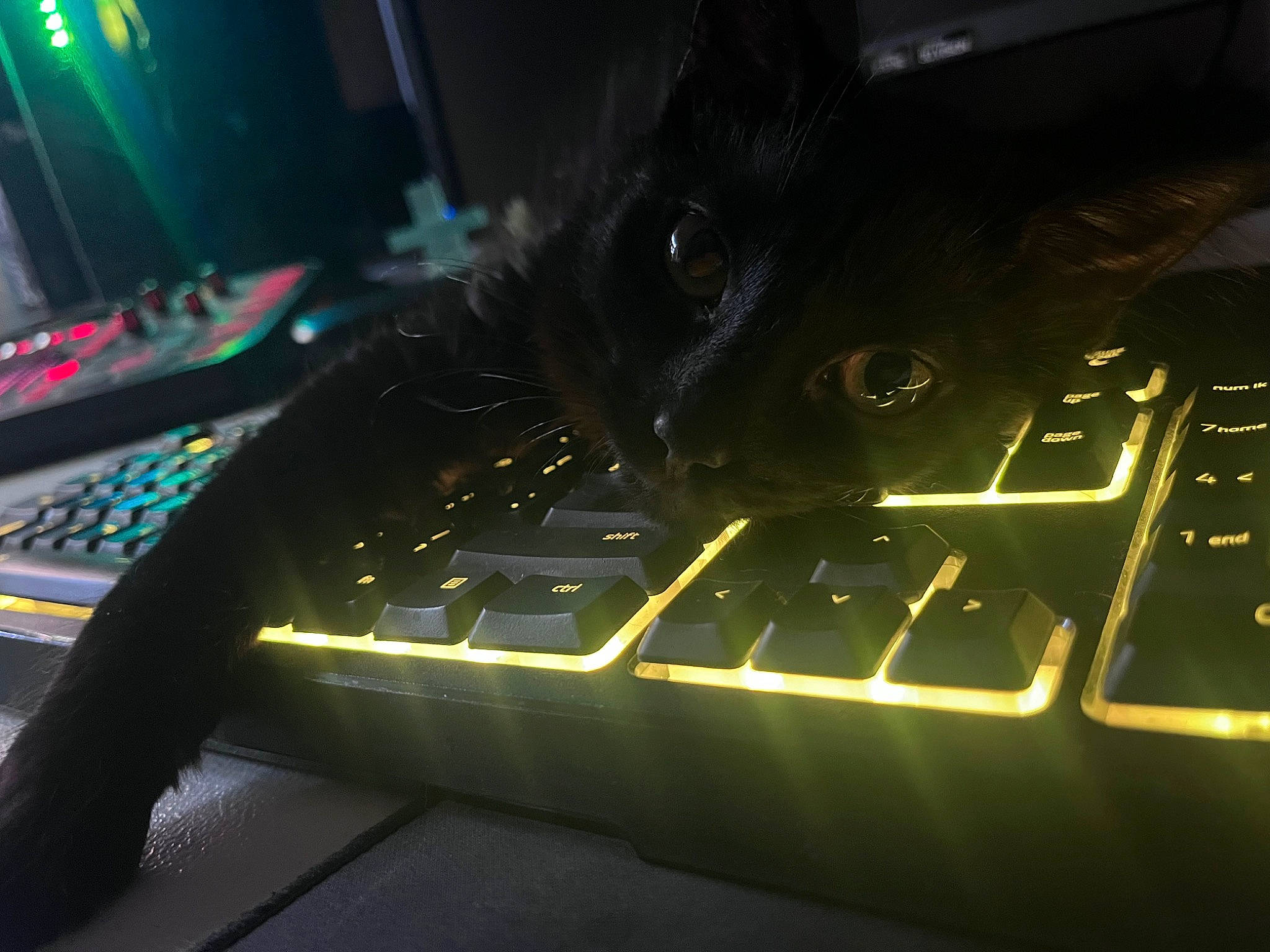 Bloo is registered to the contest to win money with this photo: audio_equipment, auto_part, automotive_lighting, computer_hardware, computer_keyboard, darkness, display_device, electronic_instrument, entertainment, gadget, gas, input_device, metal, musical_instrument_accessory, neon, night, personal_computer_hardware, space_bar, technology, visual_effect_lighting