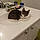 Gismo