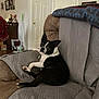 dog, black_and_white, couch, quilted_cover, living_room, pet, domestic, relaxed, side_eye, furniture, door, blanket, indoor, mop, teapot, picture_frame, home_decor, wood_floor, casual, companion