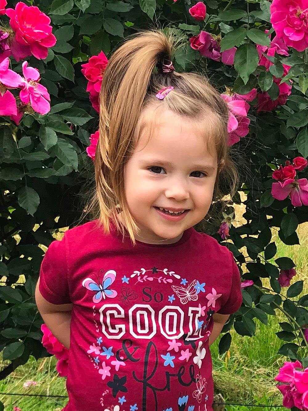 Mila participe au concours pour gagner de l'argent avec cette photo : annual_plant, busy_lizzie, child, flower, flowering_plant, happy, joy, person, petal, pink, plant, rose, rose_family, shrub, smile, spring, toddler