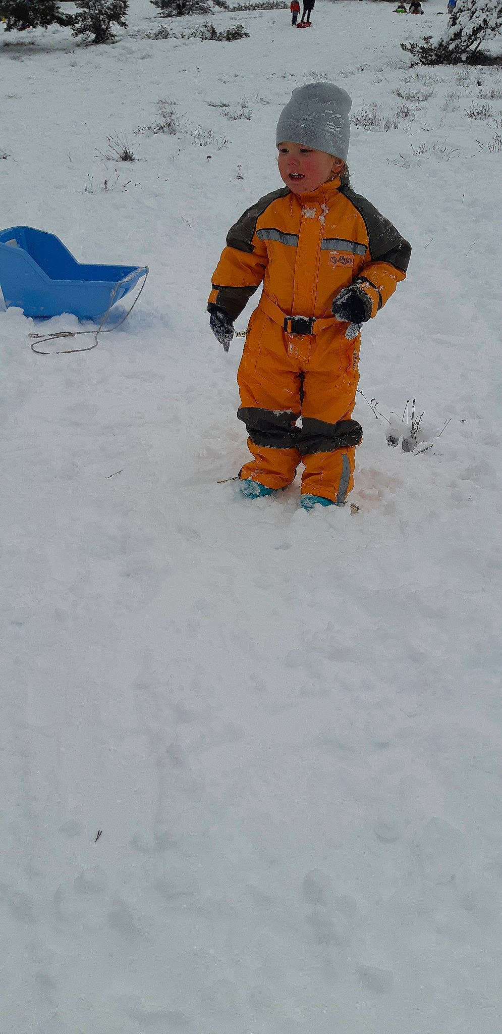 Aaron participe au concours pour gagner de l'argent avec cette photo : adventure, freezing, fun, geological_phenomenon, ice, outerwear, person, recreation, snow, sports_equipment, vehicle, winter, winter_sport