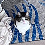 cat, tabby_cat, white_cat, pet, indoor, carpet, rug, patterned_rug, green_eyes, looking_up, blanket, fabric, metal_table_leg, floor, cute, animal, feline, domestic_cat, sitting, cozy