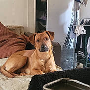 Seven a rejoint le concours — aidez-le/la à gagner de superbes lots !