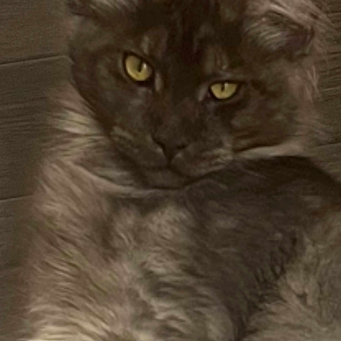 Bakou