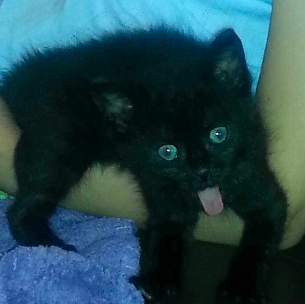 Marley