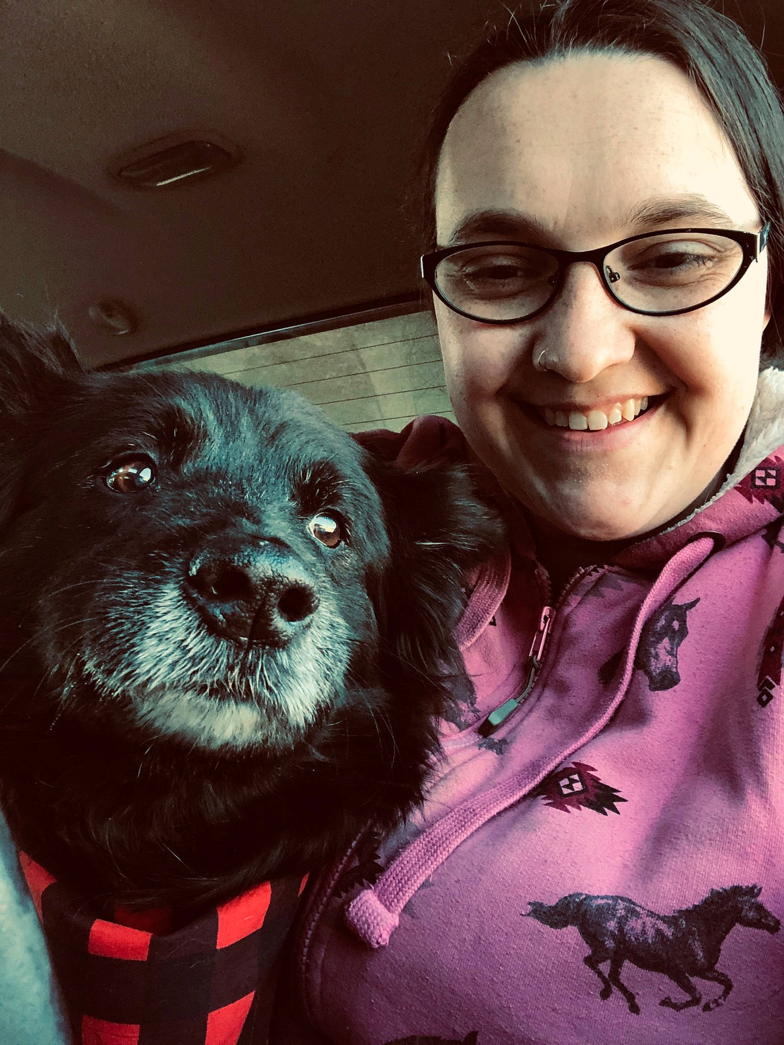 Shasta joined the competition — help win amazing prizes! canidae, carnivore, companion_dog, cool, dog, dog_breed, ear, eyewear, fur, glasses, nose, photography, puppy, puppy_love, schipperke, selfie, skin, smile, snout, t_shirt