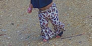 Railee is registered to the contest to win money with this photo: animal, black_top, butterfly, child, colorful, cute, gravel, green, hair_pigtails, leopard_print, nature, outdoor, pants, path, person, playful, small, summer, toddler, walking