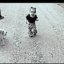 Railee joined the competition — help win amazing prizes! animal, black_top, boot, child, cute, dog, fashion, footwear, gravel, hair_buns, hairstyle, leopard_print, outdoor, pants, path, person, pet, street, toddler, walking